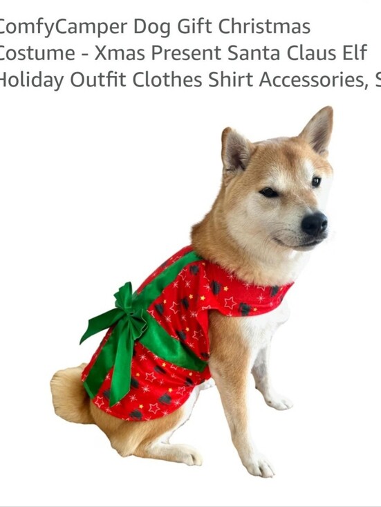 Other - Small Dog Chistmas Costume